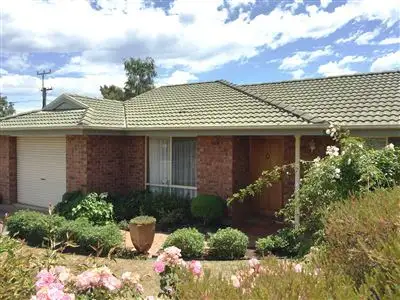 11 Ada Street, Scottsdale TAS 7260