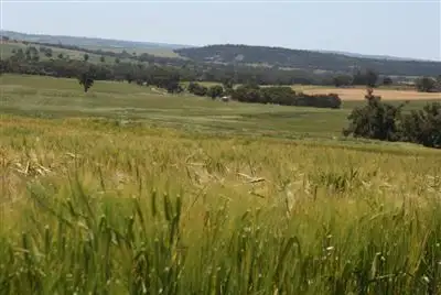 Fourth view of Homely rural property listing, Address available on request