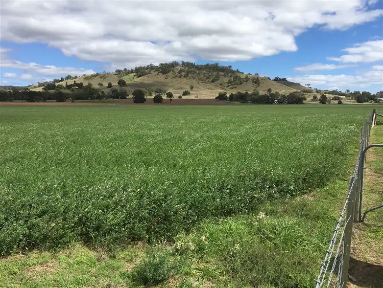 Third view of Homely rural property listing, 931 'Mullamuddy Farm' Castlereagh Highway, Mudgee NSW 2850