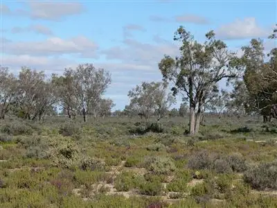 Third view of Homely rural property listing, . Milroy, Brewarrina NSW 2839
