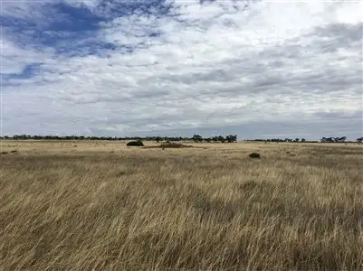 Fourth view of Homely rural property listing, Lot 21 Pipeline Road, Sedan SA 5353