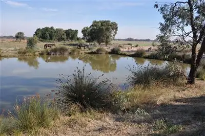 Main view of Homely rural property listing, 146 Normanville Rd, Kerang VIC 3579