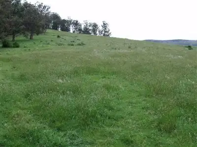 Seventh view of Homely rural property listing, 38 Blackwarry Scenic Road, Won Wron VIC 3971