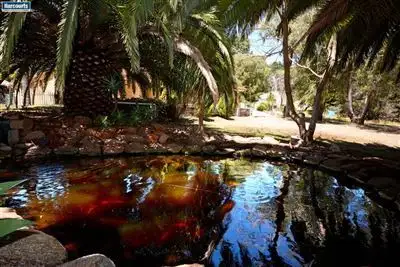 Sixth view of Homely house listing, 6 Tifway Place, Carabooda WA 6033