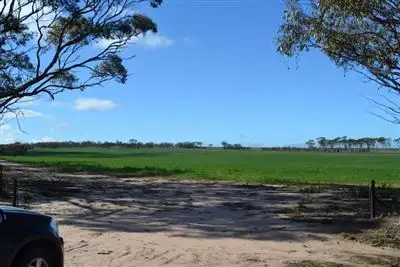 Main view of Homely rural property listing, 7742 Kwolyn Road, Kellerberrin WA 6410