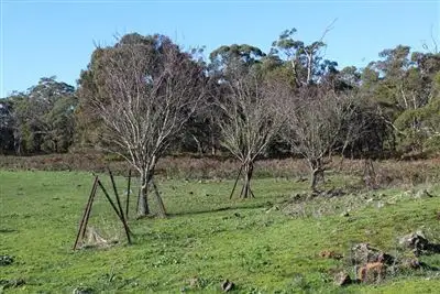 Sixth view of Homely rural property listing, 1551 Mt. Napier Road, Buckley Swamp VIC 3301