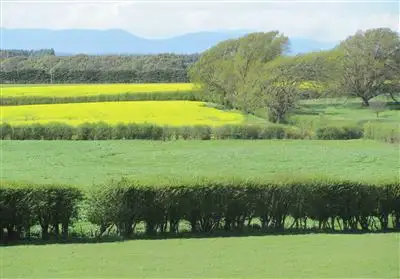 Second view of Homely rural property listing, 1000 Bishopsbourne Road, Bishopsbourne TAS 7301