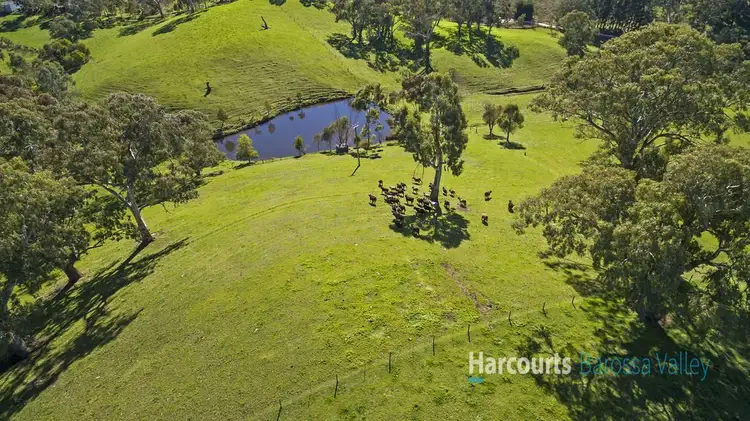 Fourth view of Homely rural property listing, 100 Alexander Forrest Road, Forreston SA 5233