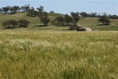 Third view of Homely rural property listing, Address available on request