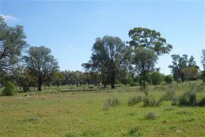 Sixth view of Homely rural property listing, " Gundaur", Nyngan NSW 2825