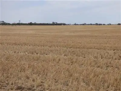 Third view of Homely rural property listing, 431 Baker - Hiscocks Road, Netherby, Nhill VIC 3418