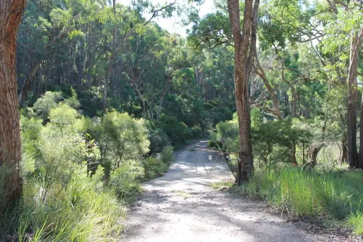 Fourth view of Homely rural property listing, 2315 Emmaville Rd, Glen Innes NSW 2370