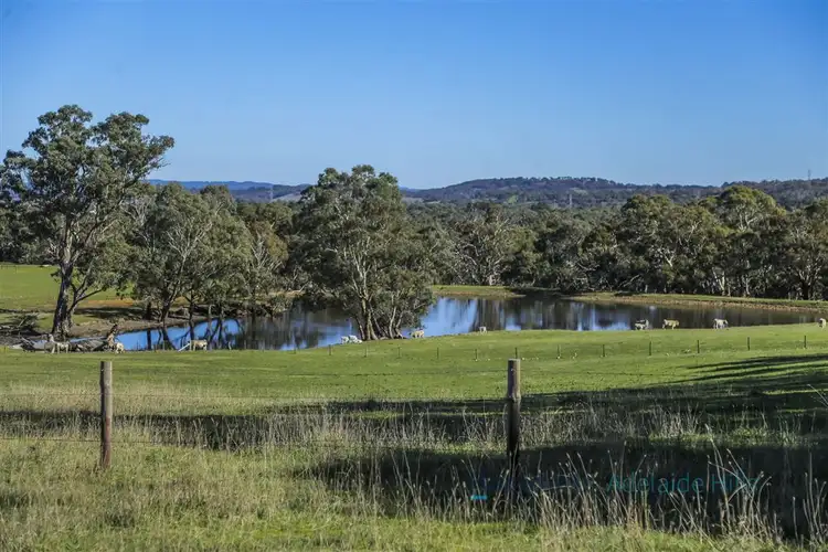 Sixth view of Homely rural property listing, 355 Black Snake Road, Cromer via, Birdwood SA 5234