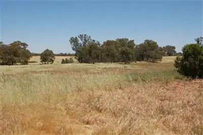 Fifth view of Homely rural property listing, Kelvin Grove, Burrandana Road, Wagga Wagga NSW 2650