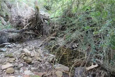 Seventh view of Homely rural property listing, 4650 Araluen Road, Araluen NSW 2622