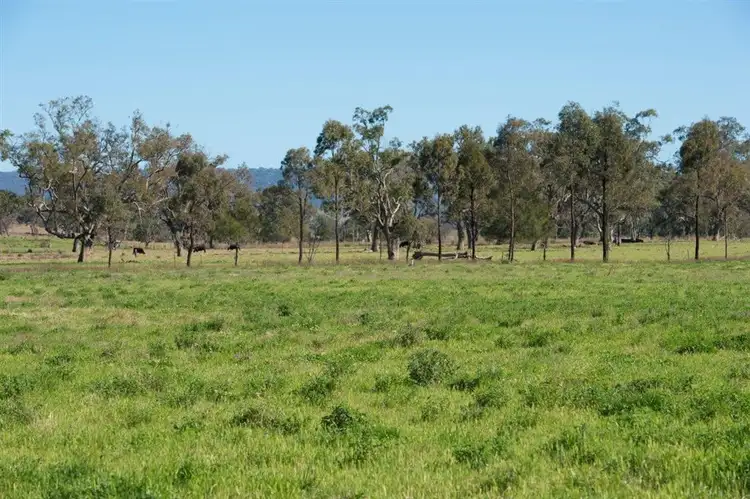 Fourth view of Homely rural property listing, 226 Dartbrook Rd, Aberdeen NSW 2336