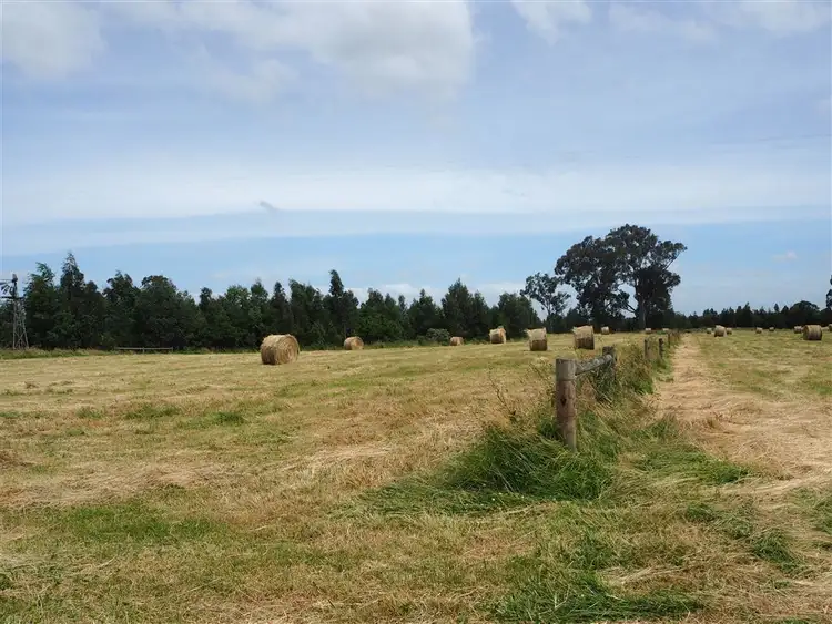 Fourth view of Homely rural property listing, 1 Cocksedges Road, Won Wron VIC 3971