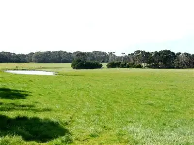 Fourth view of Homely rural property listing, 423 Millers Road, Lymwood TAS 7256
