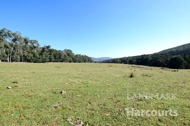 Main view of Homely rural property listing, 2250 Benalla - Whitfield Road, Myrrhee VIC 3732