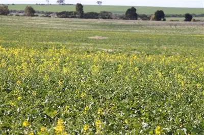 Sixth view of Homely rural property listing, Address available on request