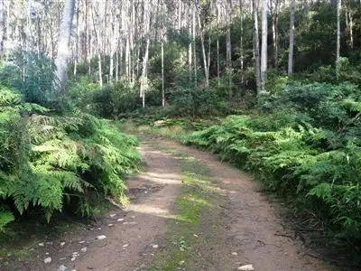 Second view of Homely rural property listing, 540 Davis Gully Road, Four Mile Creek TAS 7215