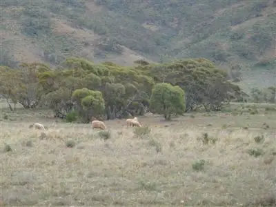 * Hooper Road, Walloway, Orroroo SA 5431
