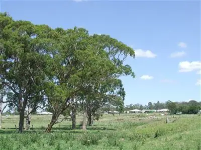264 Cambooya Street, Drayton QLD 4350