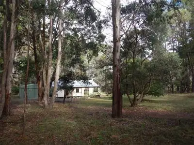 Second view of Homely rural property listing, 6344 Grafton Road (Waterfall Way), Wollomombi NSW 2350