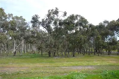 Main view of Homely land listing, Lot 303 Sinnott Rd, Boyup Brook WA 6244