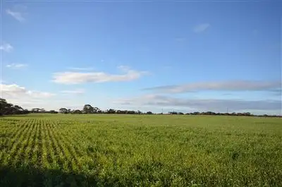 Second view of Homely rural property listing, 4054 Mallee Highway, Peake SA 5301