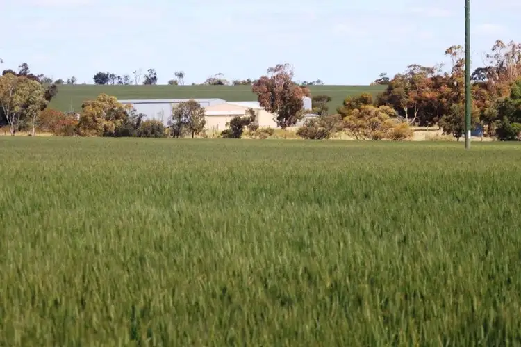 3929 Calingri - Goomalling Road, Goomalling WA 6460