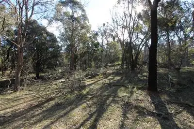 Sixth view of Homely rural property listing, Lot 3 Durran Durra Lane, Braidwood NSW 2622