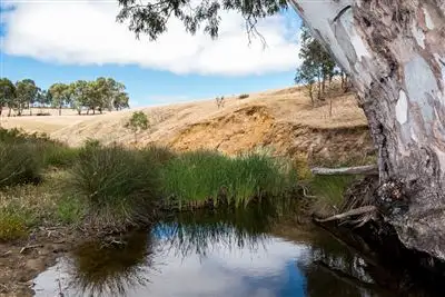 Second view of Homely rural property listing, 1084 Signal Flat Road, Finniss SA 5255