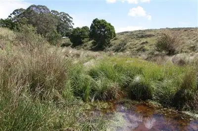 Third view of Homely rural property listing, Lot 4 Kings Highway, Braidwood NSW 2622