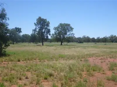Third view of Homely rural property listing, " Wilbertree", Nyngan NSW 2825