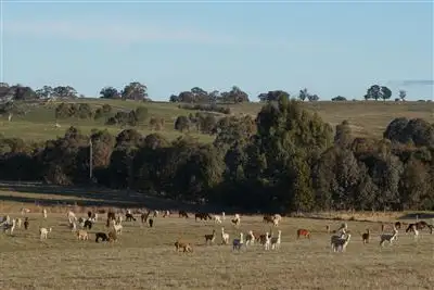 Sixth view of Homely rural property listing, 709 Galls Gap Road, Strathbogie VIC 3666