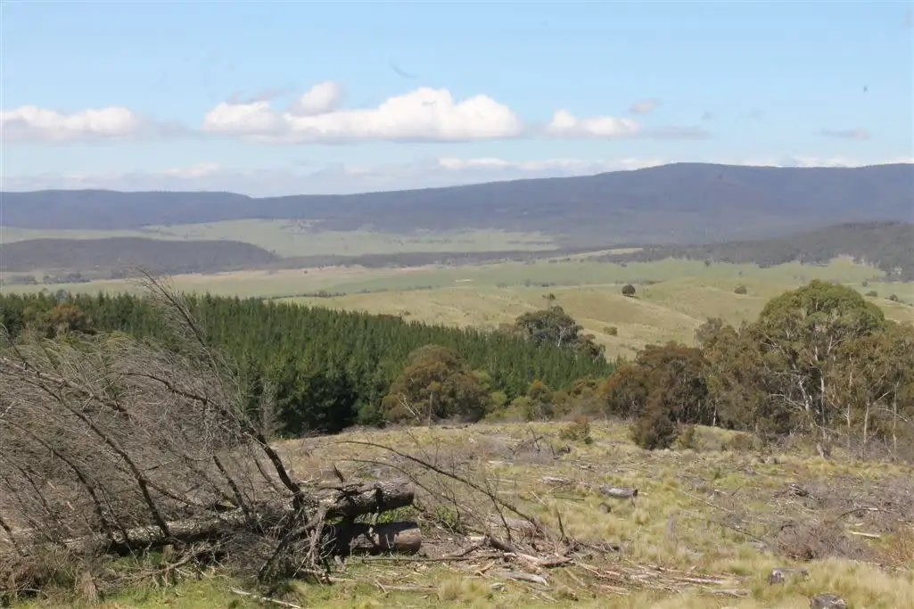 Main view of Homely rural property listing, Lot 94 off South Forest Way, Kindervale via, Braidwood NSW 2622