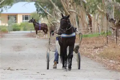 Third view of Homely house listing, 159 Larsen Road, Byford WA 6122