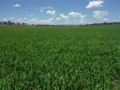161 'Walteela' Bombandi Road, Ilford, Mudgee NSW 2850