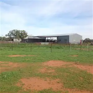 Sixth view of Homely rural property listing, Wangaroa/4577 Trida Road, Hillston NSW 2675