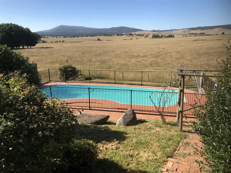 Fourth view of Homely rural property listing, 'Raymond' 2852 Jingellic Road, Tumbarumba NSW 2653