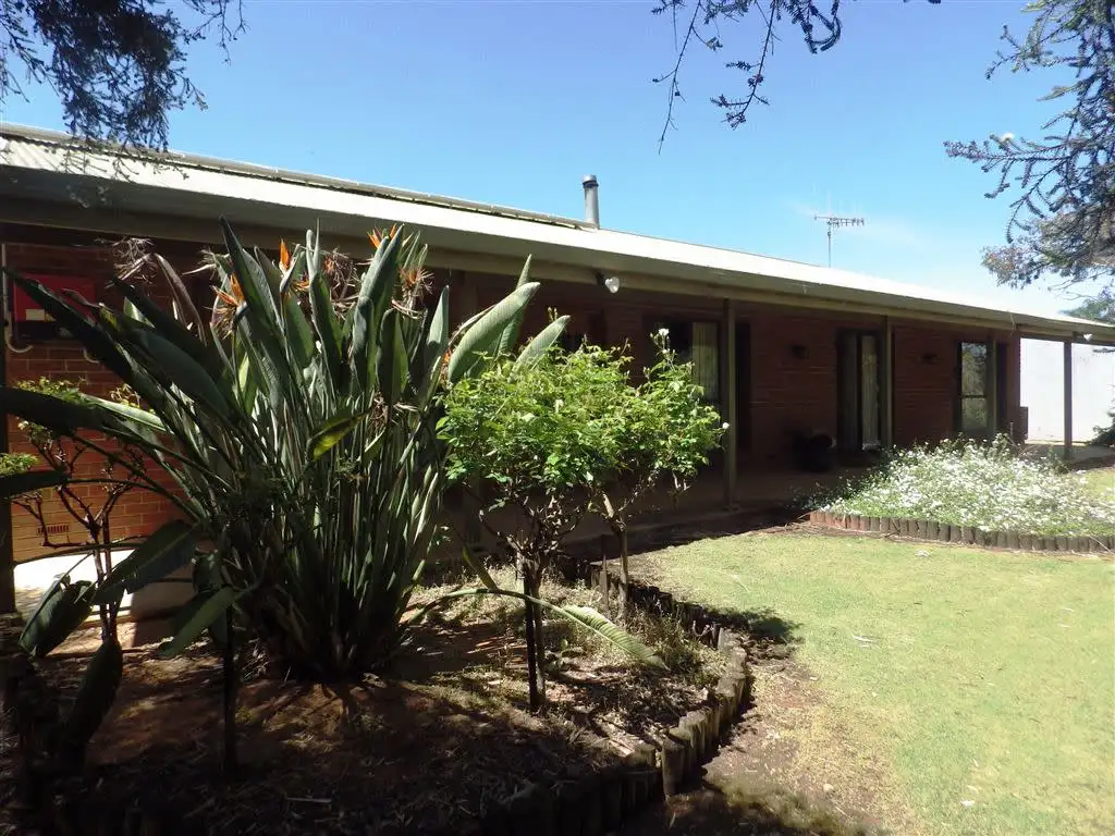Main view of Homely rural property listing, 34 Cant Road, Barmera SA 5345