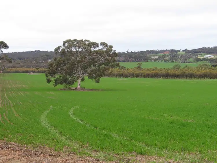 Main view of Homely rural property listing, Address available on request