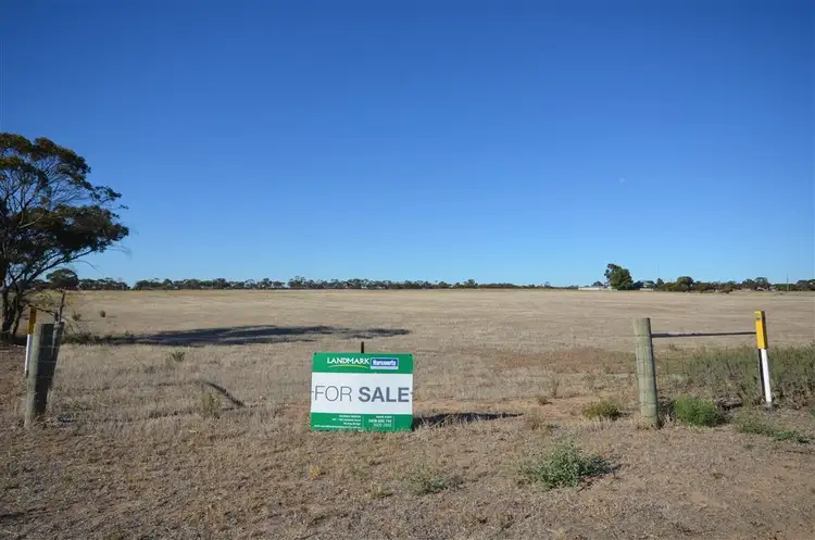 Second view of Homely land listing, 51 Adelaide Road, Lameroo SA 5302