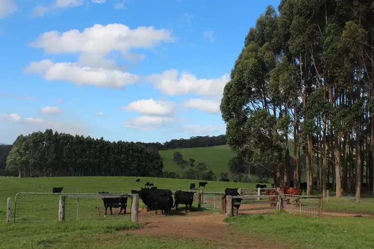 Third view of Homely rural property listing, Address available on request