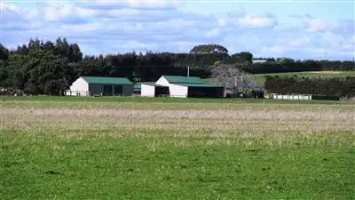 Sixth view of Homely rural property listing, 687 Bishopsbourne Road, Bishopsbourne TAS 7301
