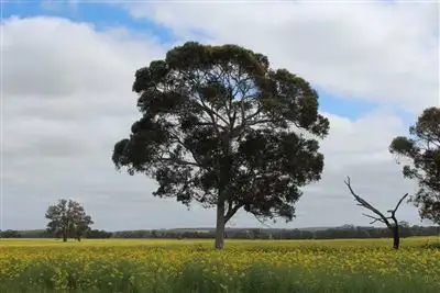 Third view of Homely rural property listing, 750 Kybellup Rd, Frankland WA 6396