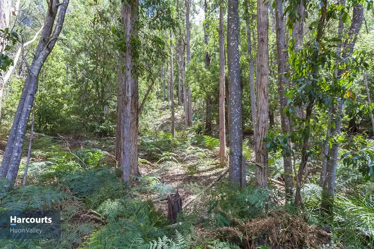 Third view of Homely land listing, RA Fyfes Road, Mountain River TAS 7109
