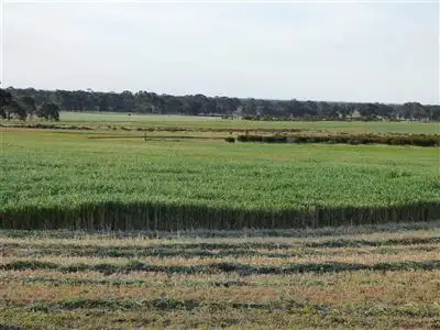 765 Wonwondah Dadswells Bridge Rd, Laharum VIC 3401
