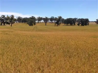 Main view of Homely rural property listing, 326 Blatches Lane, Yeoval NSW 2868